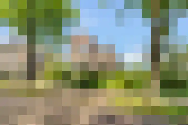 Slotweg 11 Egmond aan den Hoef thumbnail 55