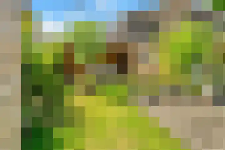 Slotweg 4 Egmond aan den Hoef thumbnail 16