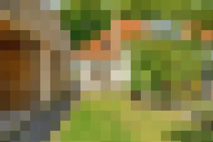 Slotweg 4 Egmond aan den Hoef thumbnail 33