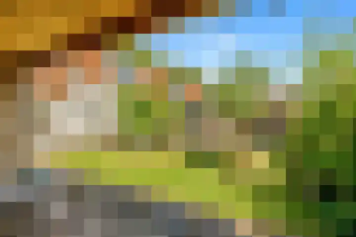 Slotweg 4 Egmond aan den Hoef thumbnail 34