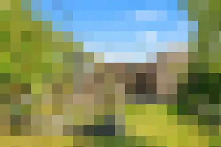 Slotweg 4 Egmond aan den Hoef thumbnail 35
