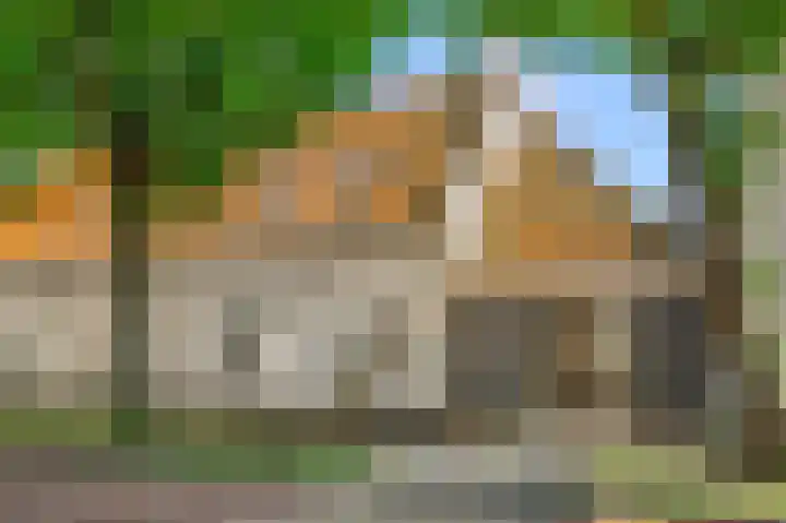 Slotweg 4 Egmond aan den Hoef thumbnail 36