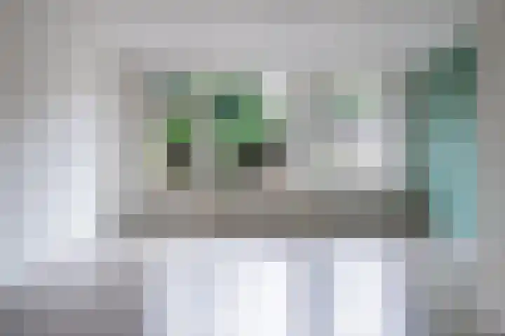 Sloutersverlaat 15 Hoogeveen thumbnail 11
