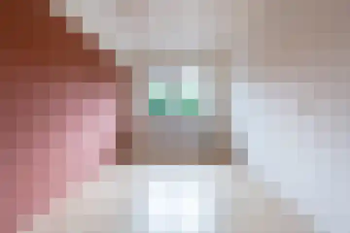 Sloutersverlaat 15 Hoogeveen thumbnail 22