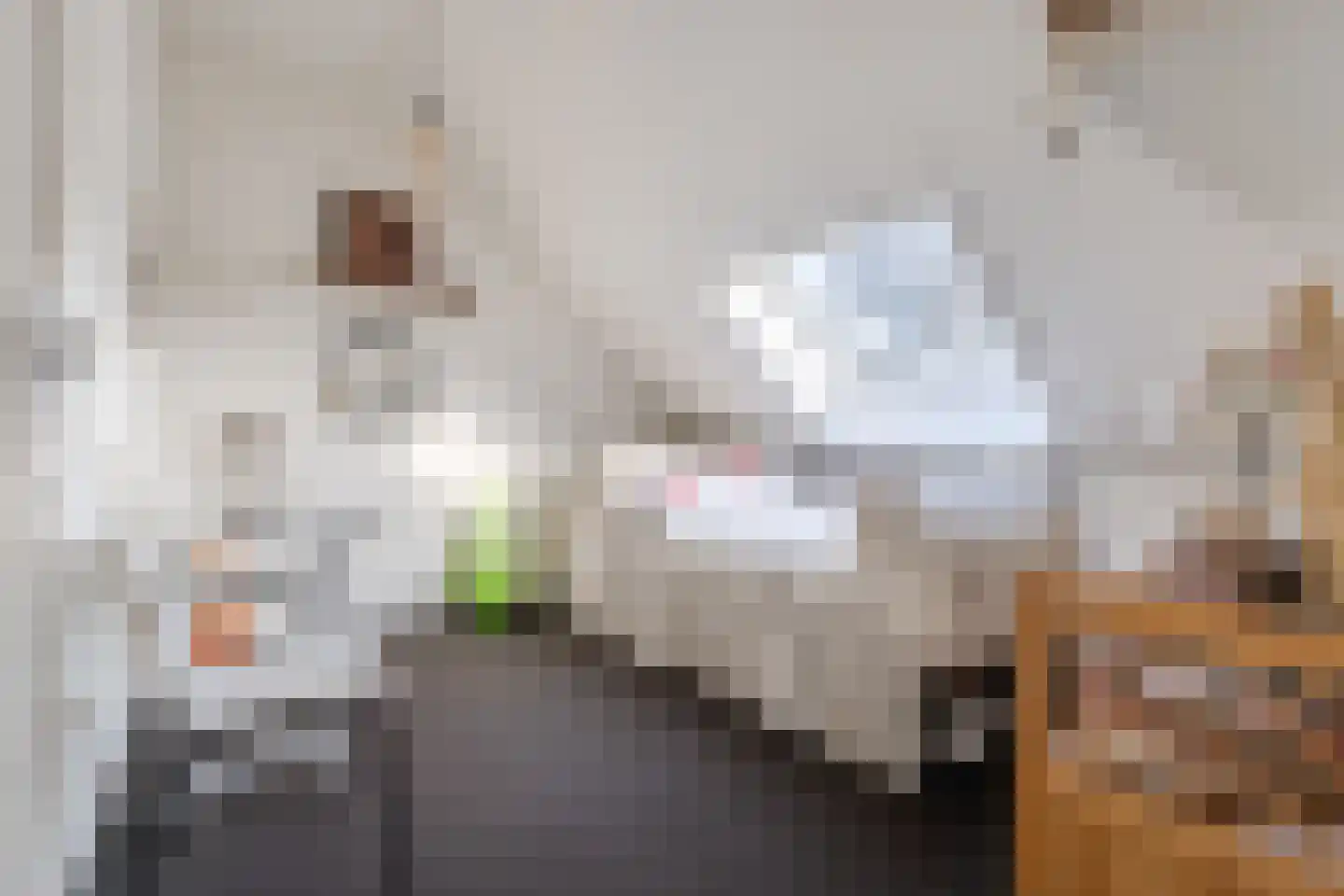 Sloutersverlaat 2 Hoogeveen thumbnail 40