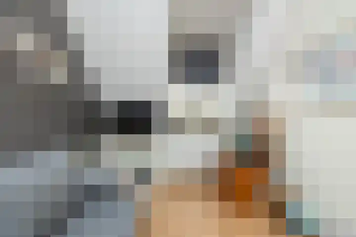 Sloutersverlaat 48 Hoogeveen thumbnail 36