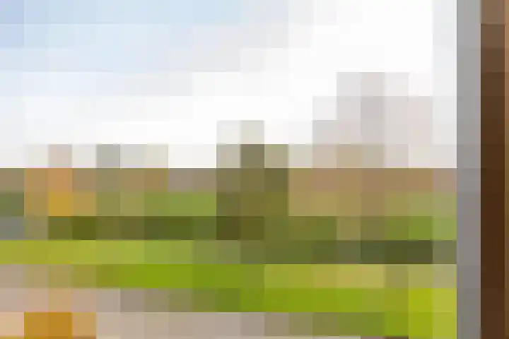 Sloutersverlaat 48 Hoogeveen thumbnail 46
