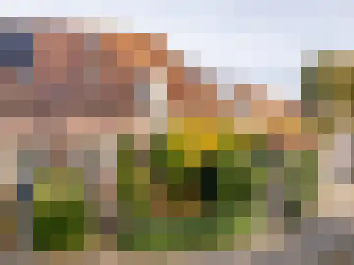 Sloutersverlaat 48 Hoogeveen thumbnail 65