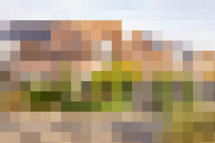 Sloutersverlaat 48 Hoogeveen thumbnail 66