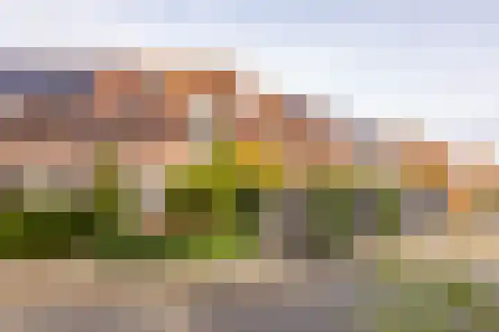 Sloutersverlaat 48 Hoogeveen thumbnail 68