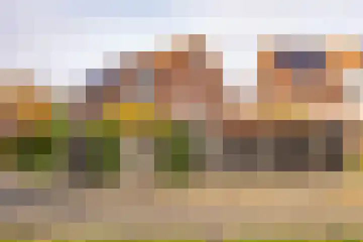 Sloutersverlaat 48 Hoogeveen thumbnail 69