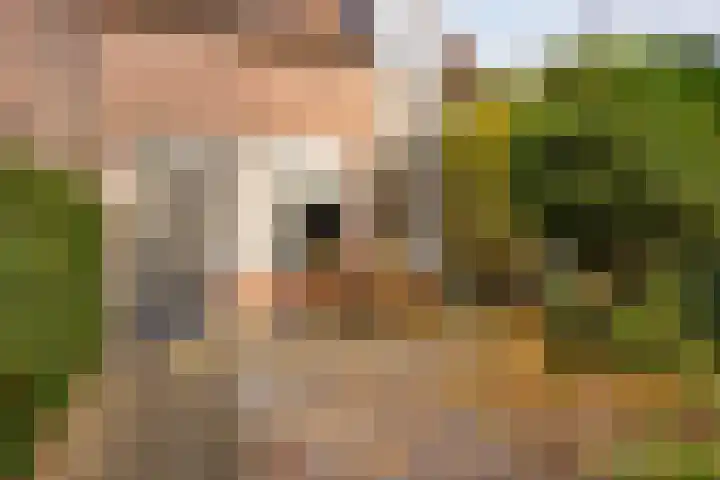 Sloutersverlaat 48 Hoogeveen thumbnail 7