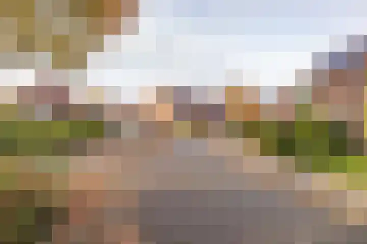 Sloutersverlaat 48 Hoogeveen thumbnail 71