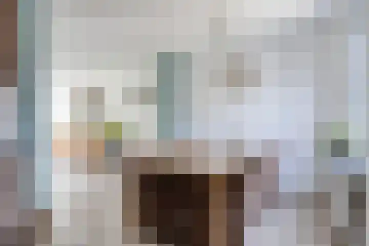 Sloutersverlaat 5 Hoogeveen thumbnail 11