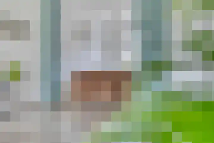Sloutersverlaat 5 Hoogeveen thumbnail 13