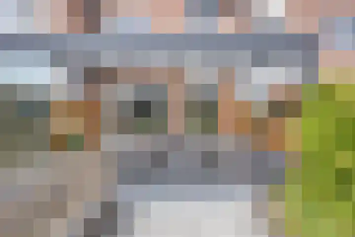 Sloutersverlaat 5 Hoogeveen thumbnail 18