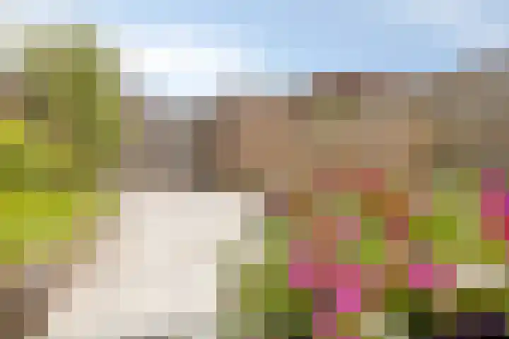 Sloutersverlaat 5 Hoogeveen thumbnail 32