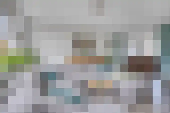Sloutersverlaat 5 Hoogeveen thumbnail 4