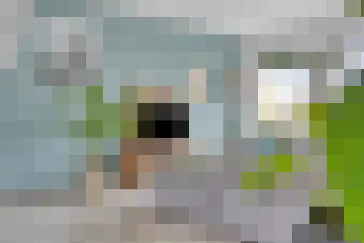 Sloutersverlaat 5 Hoogeveen thumbnail 5