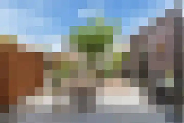 Slufterhof 15 Berkel en Rodenrijs thumbnail 11