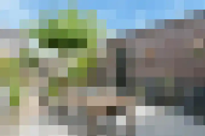 Slufterhof 15 Berkel en Rodenrijs thumbnail 12