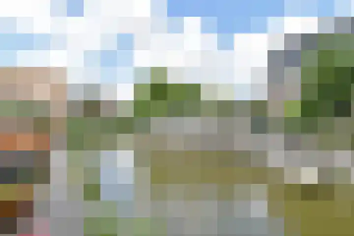 Slufterhof 15 Berkel en Rodenrijs thumbnail 15