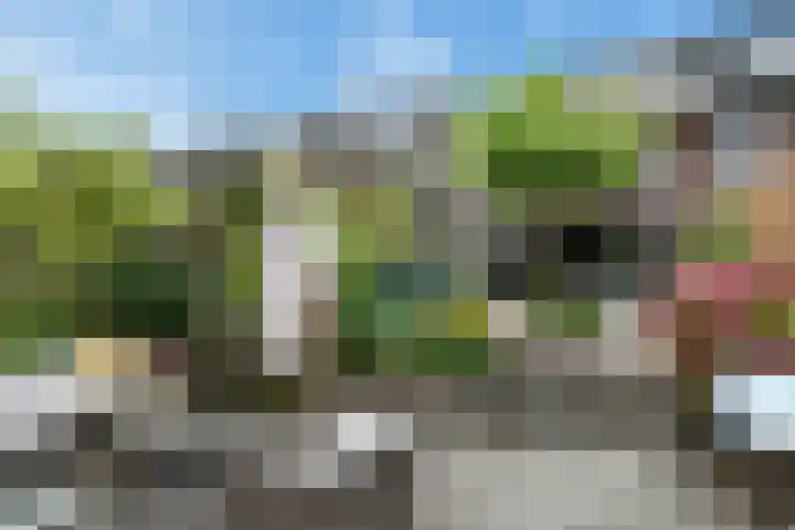 Slufterhof 15 Berkel en Rodenrijs thumbnail 16