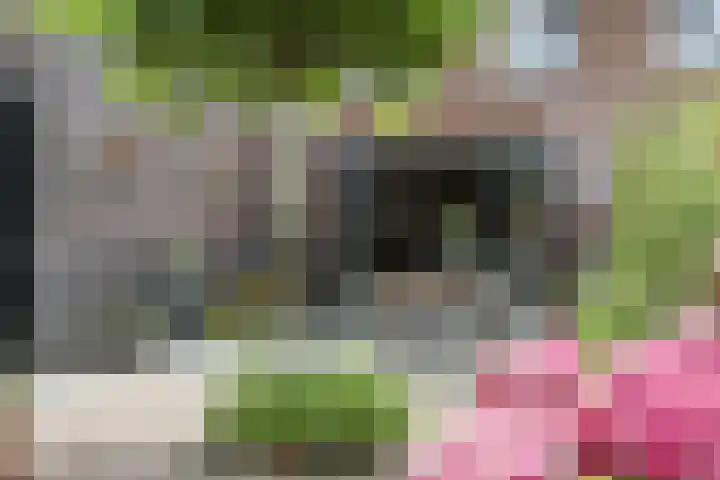 Slufterhof 15 Berkel en Rodenrijs thumbnail 17