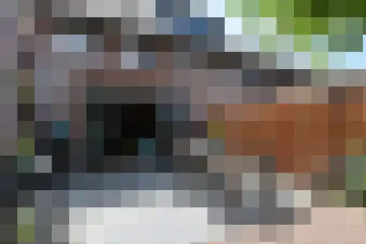 Slufterhof 15 Berkel en Rodenrijs thumbnail 18