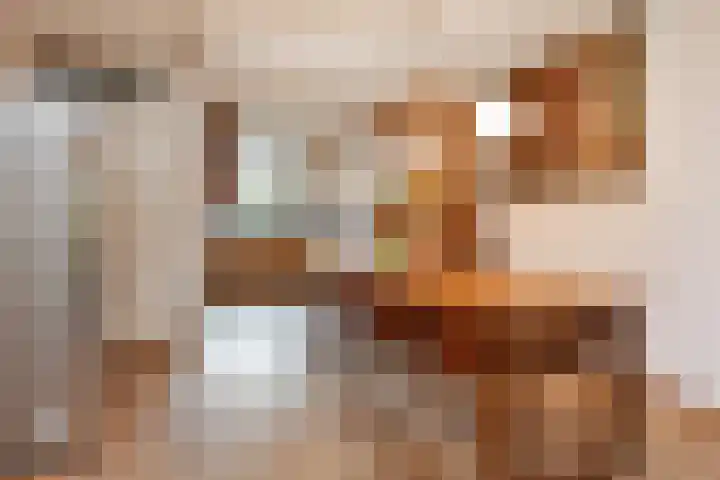 Slufterhof 15 Berkel en Rodenrijs thumbnail 19