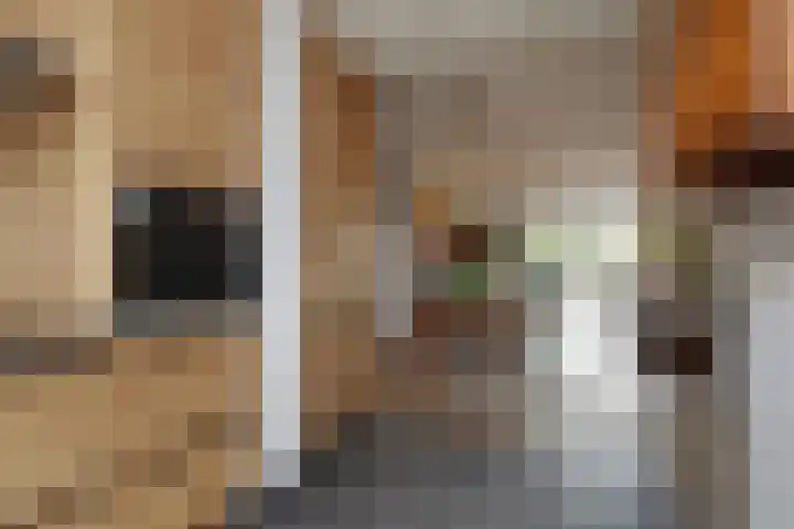 Slufterhof 15 Berkel en Rodenrijs thumbnail 23