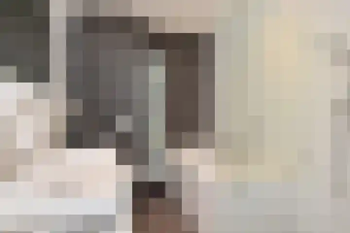 Slufterhof 15 Berkel en Rodenrijs thumbnail 28