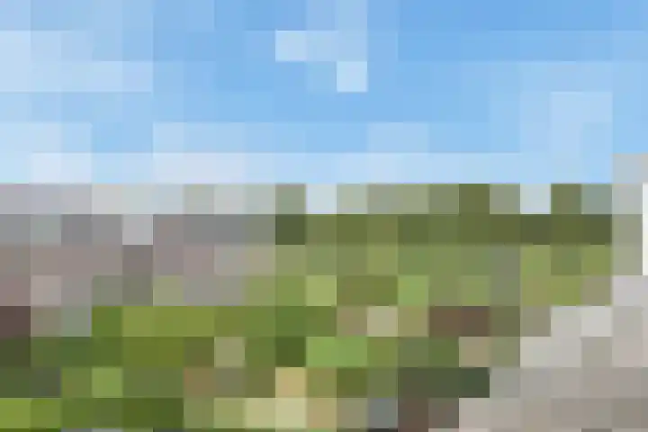 Slufterhof 15 Berkel en Rodenrijs thumbnail 37
