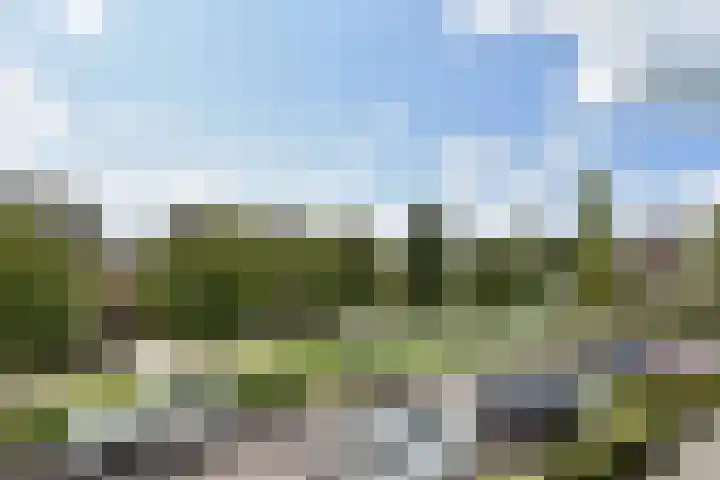 Slufterhof 15 Berkel en Rodenrijs thumbnail 41