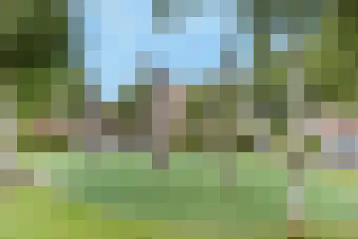 Slufterhof 15 Berkel en Rodenrijs thumbnail 42