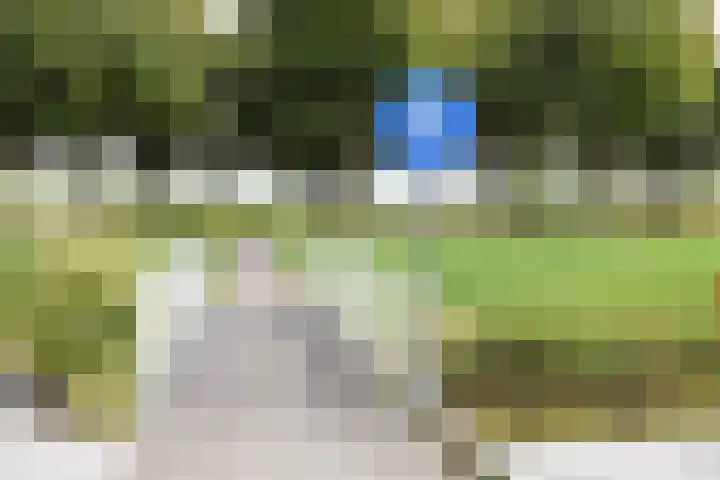 Slufterhof 15 Berkel en Rodenrijs thumbnail 43