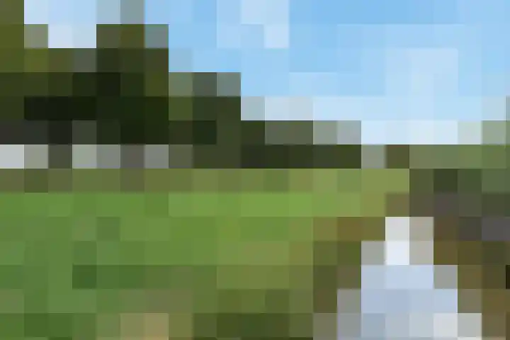 Slufterhof 15 Berkel en Rodenrijs thumbnail 44