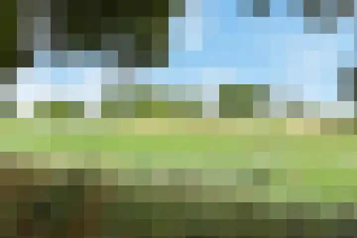 Slufterhof 15 Berkel en Rodenrijs thumbnail 45