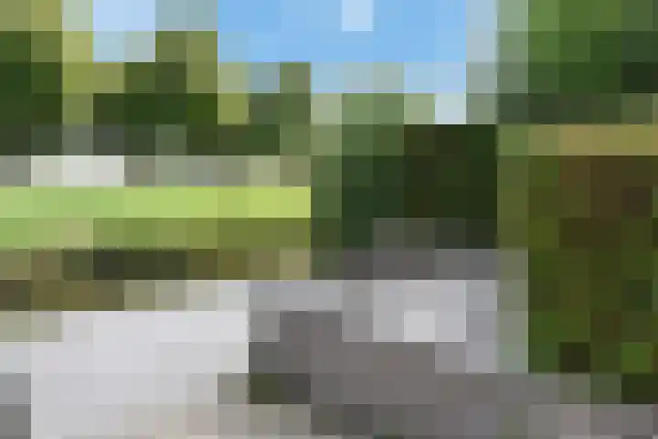 Slufterhof 15 Berkel en Rodenrijs thumbnail 46