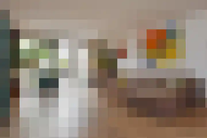 Slufterhof 15 Berkel en Rodenrijs thumbnail 9