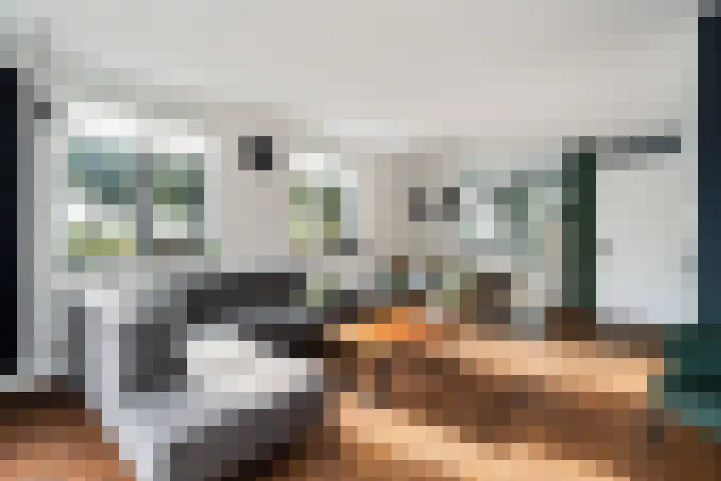 Slufterhof 33 Berkel en Rodenrijs thumbnail 14