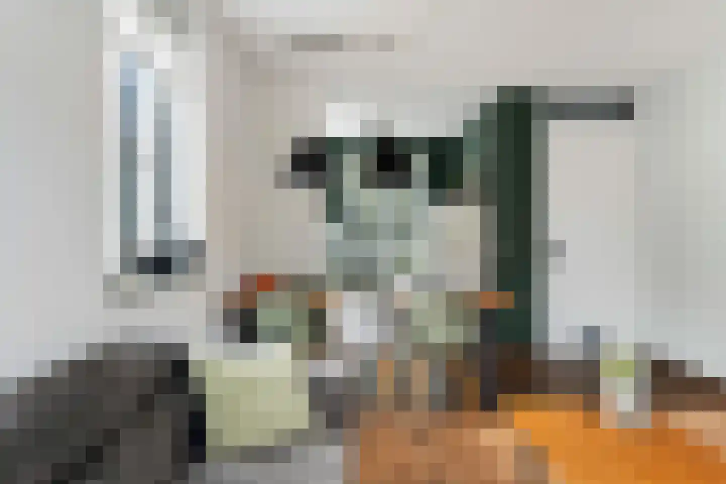 Slufterhof 33 Berkel en Rodenrijs thumbnail 15