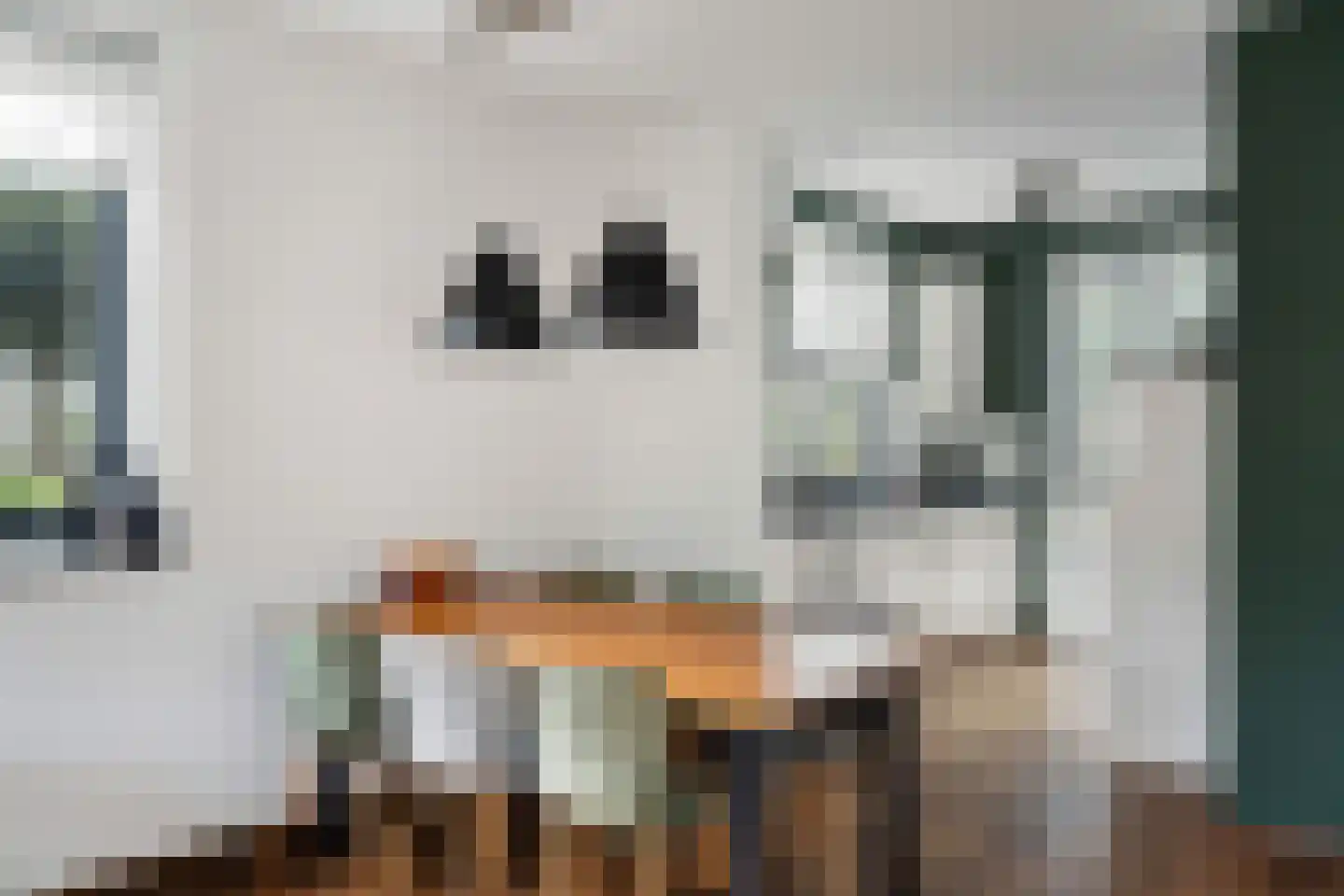 Slufterhof 33 Berkel en Rodenrijs thumbnail 16