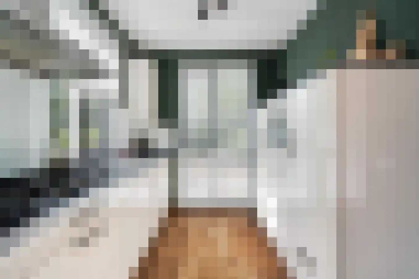 Slufterhof 33 Berkel en Rodenrijs thumbnail 17