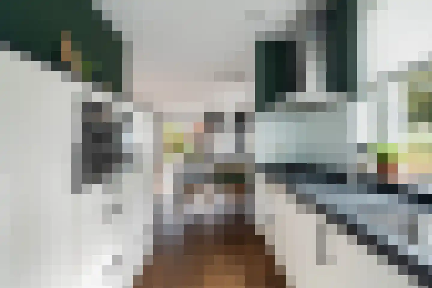 Slufterhof 33 Berkel en Rodenrijs thumbnail 19