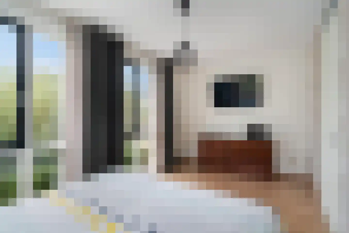 Slufterhof 33 Berkel en Rodenrijs thumbnail 25