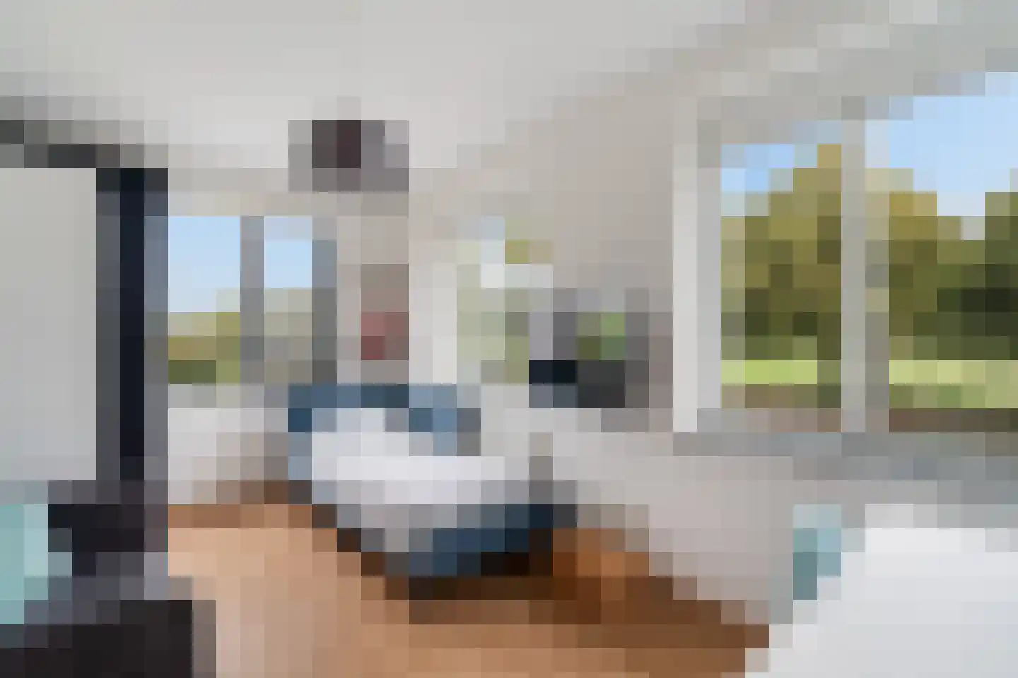 Slufterhof 33 Berkel en Rodenrijs thumbnail 27
