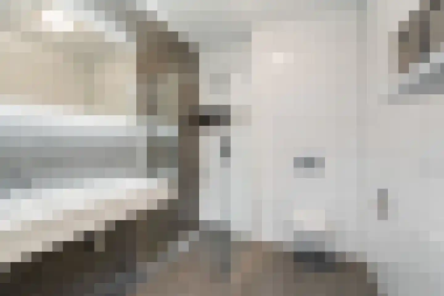 Slufterhof 33 Berkel en Rodenrijs thumbnail 31