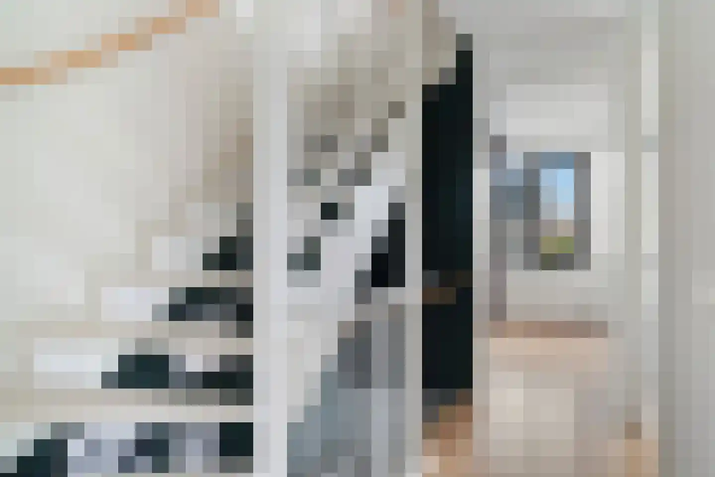 Slufterhof 33 Berkel en Rodenrijs thumbnail 33