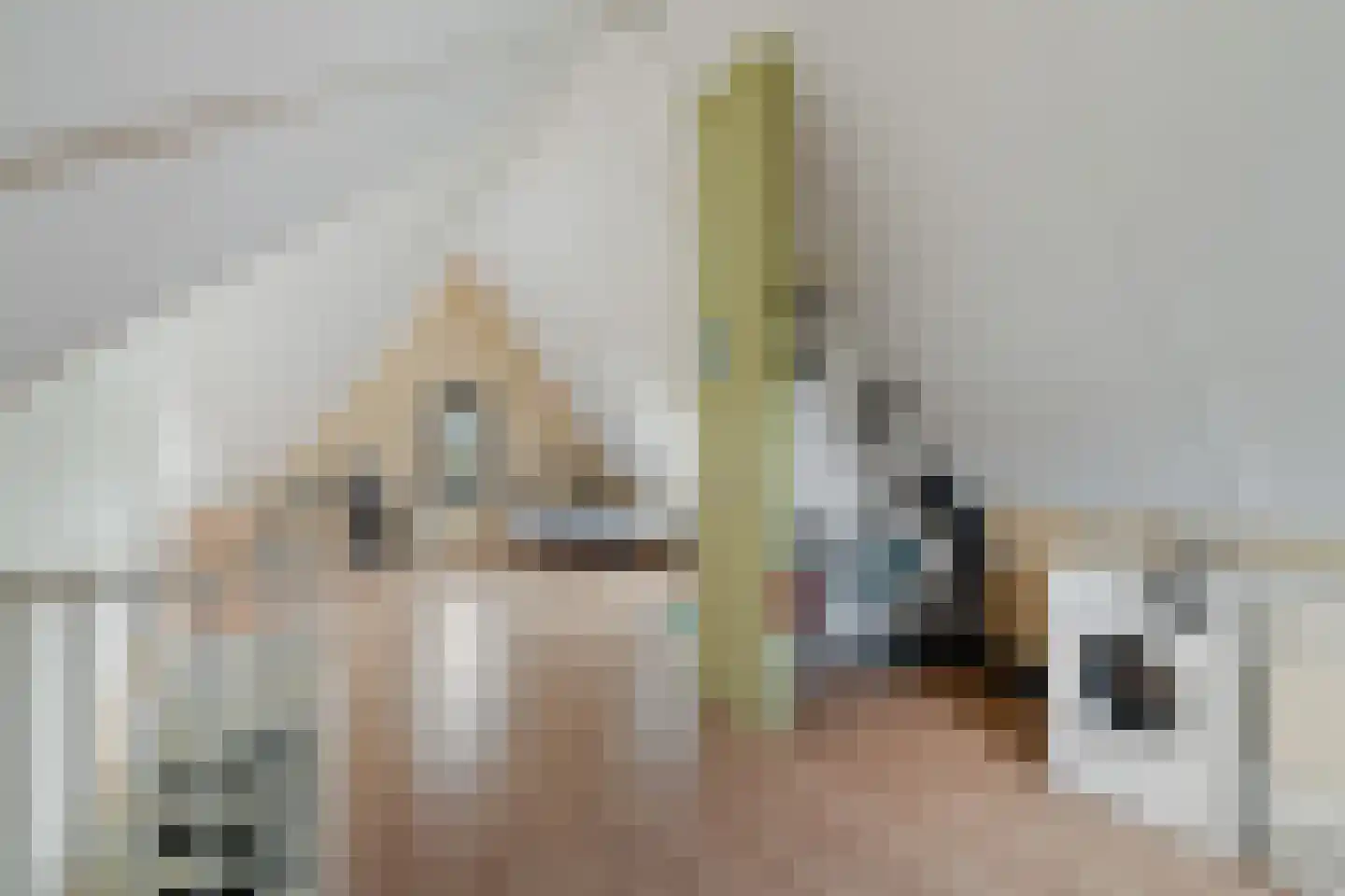 Slufterhof 33 Berkel en Rodenrijs thumbnail 36